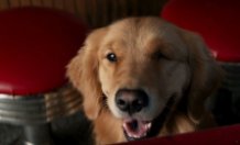 Соколиный Глаз 1 сезон 4 серия